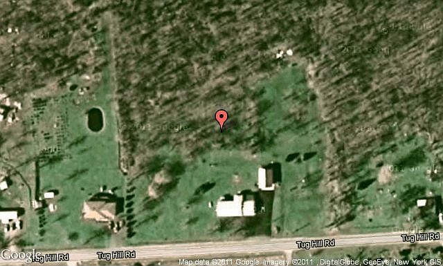 Map View