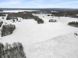 3965 Saint Nickolas Rd, Pellston, MI 49769