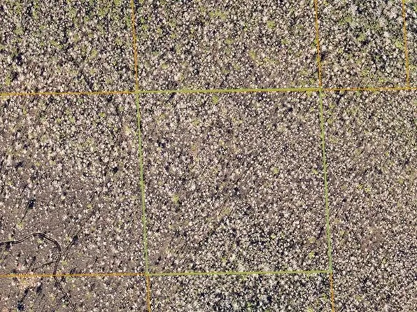 7105-01-09-0140 Inaccessible Trak #14, Deland, FL 32724