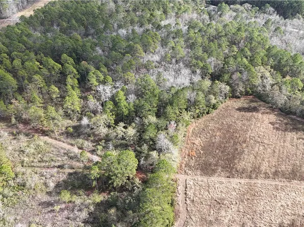 0 Mt Hope Road Lot 5A, Guyton, GA 31312