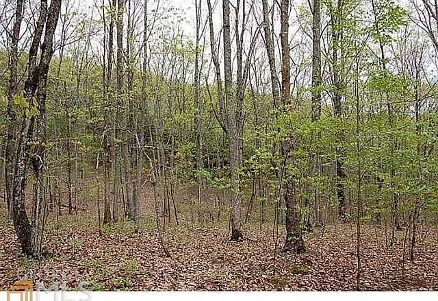 Beautiful mountain setting!   Perfect for your new home!