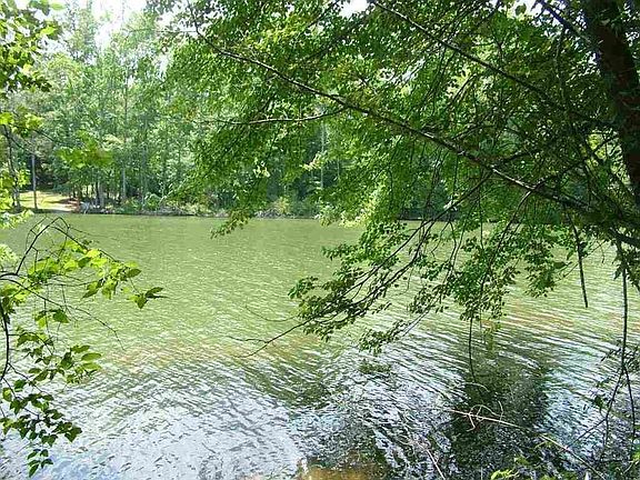 3rd image of 0 Toestring Cove Rd #76