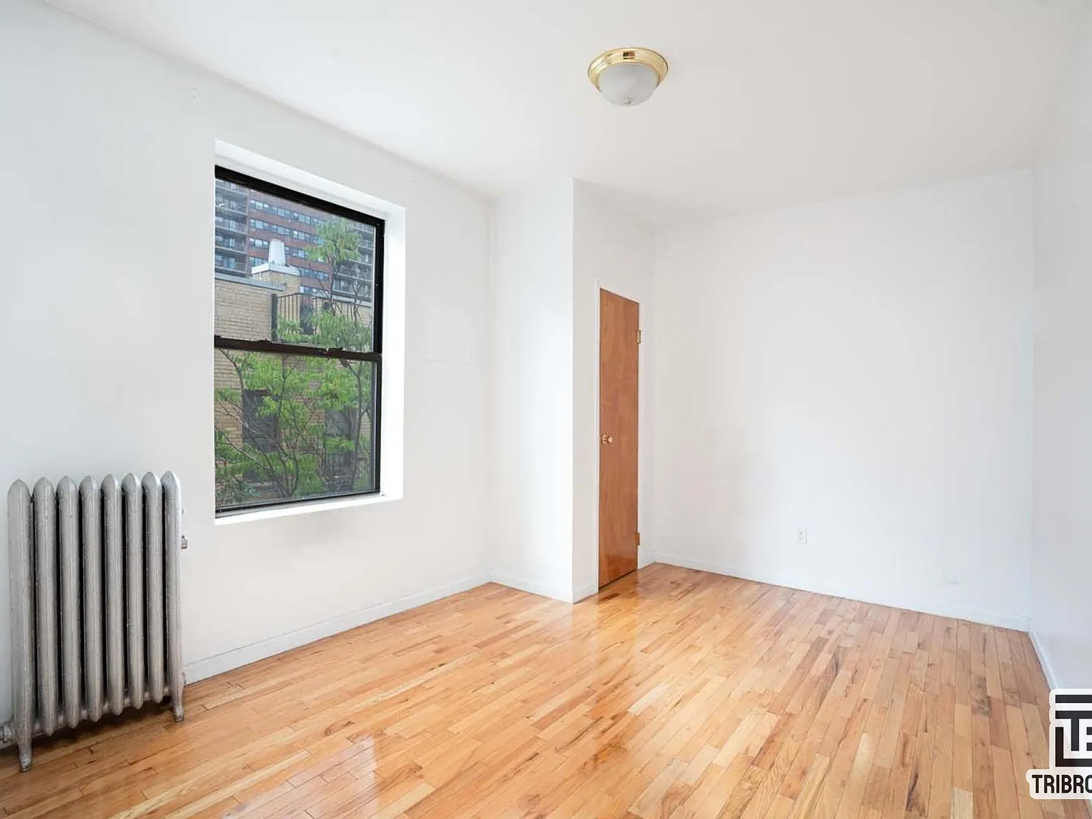 249 West 131st Street — Photo 3