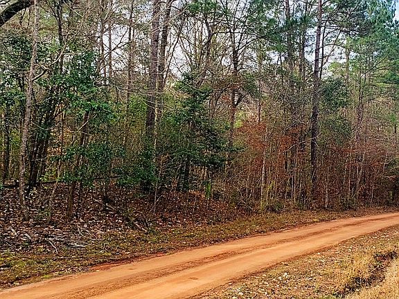 2nd image of 1 County Road 2096