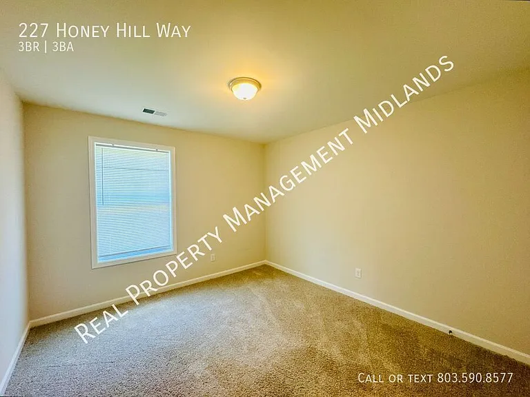 227 Honey Hill Way — Photo 11