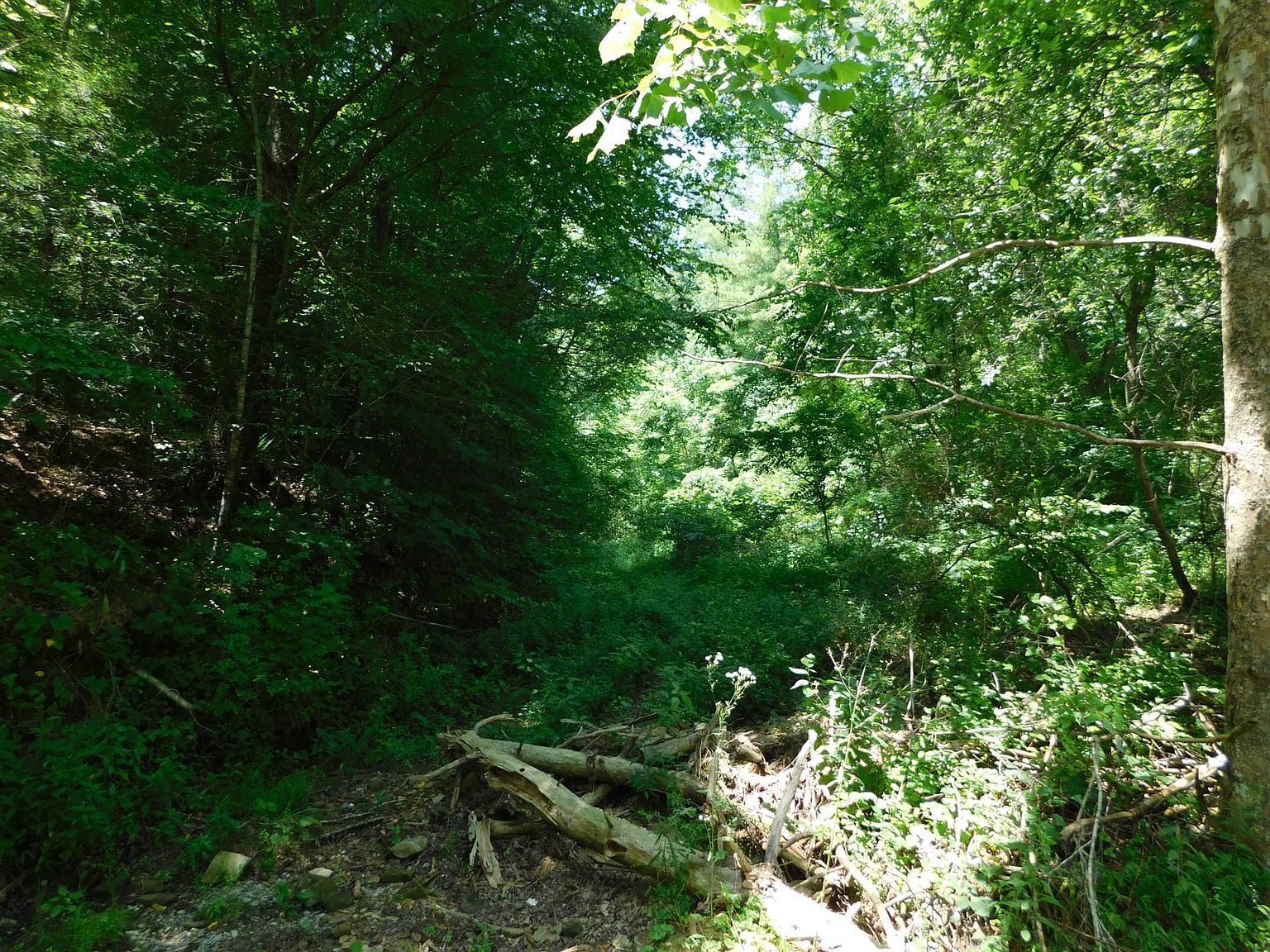 2000 Crane Creek Rd, Manchester, KY 40962 MLS 11194711 Zillow