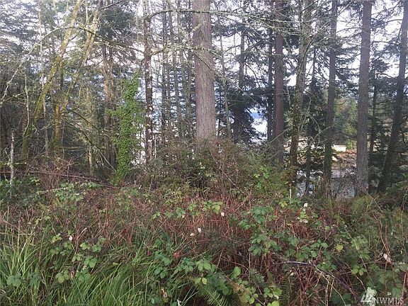 5th image of 6117 85th Ave NE