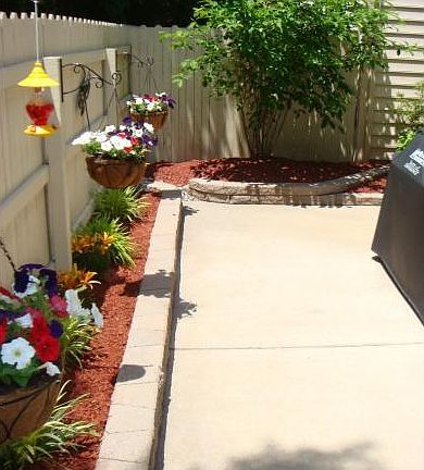 Back Yard 2