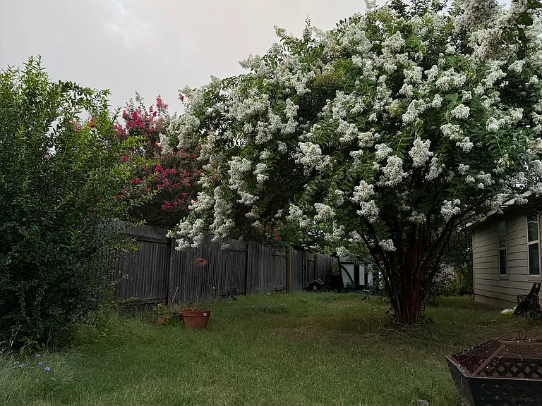 3304 Merlin Ct — Photo 44