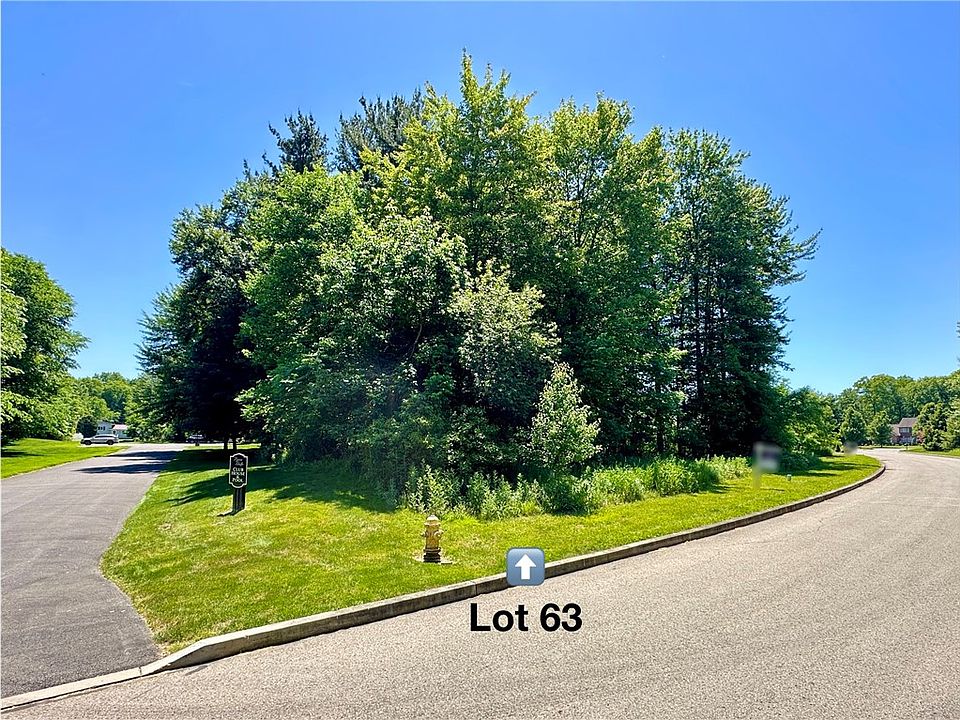 1st image of LOT 63 Alexander Xing