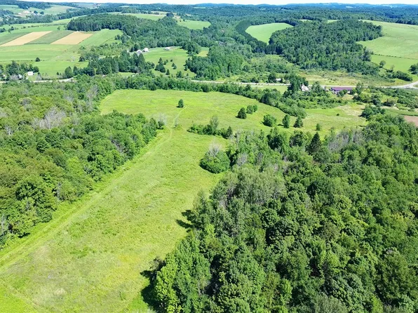 LOT 20.111 Billings Hill Rd #20, Earlville, NY 13332