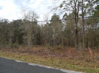 6914 S Peach Pt, HOMOSASSA, FL 34446