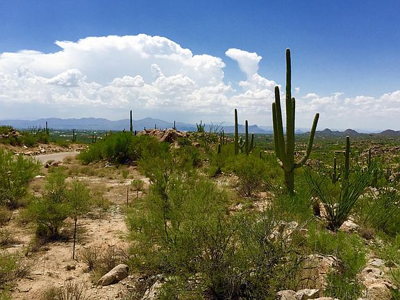 5th image of 1305 W Tortolita Mountain Cir #407