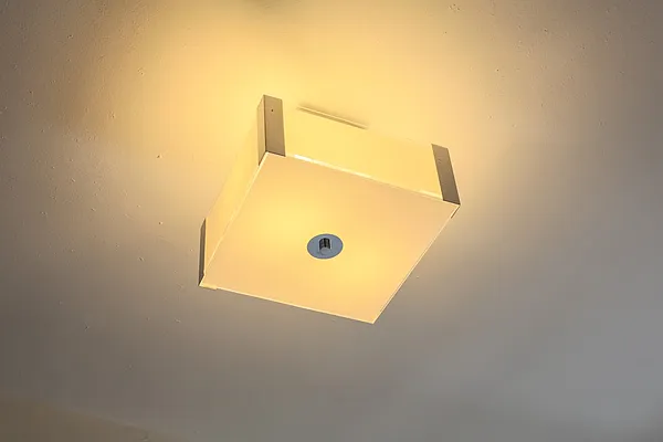 Rented by Evergreen Apartments BK | media 43