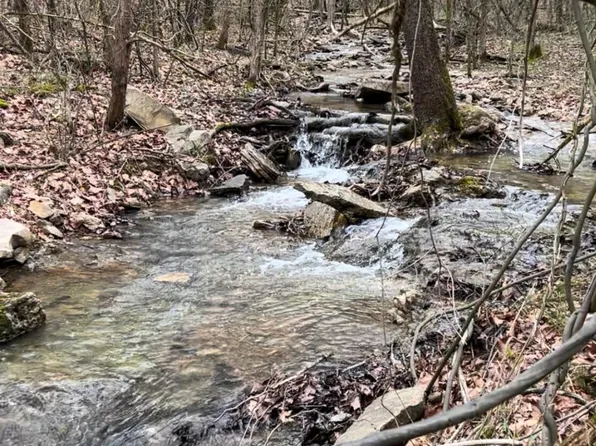 Lot 1 Woodland Lake Drive, Shell Knob, MO 65747