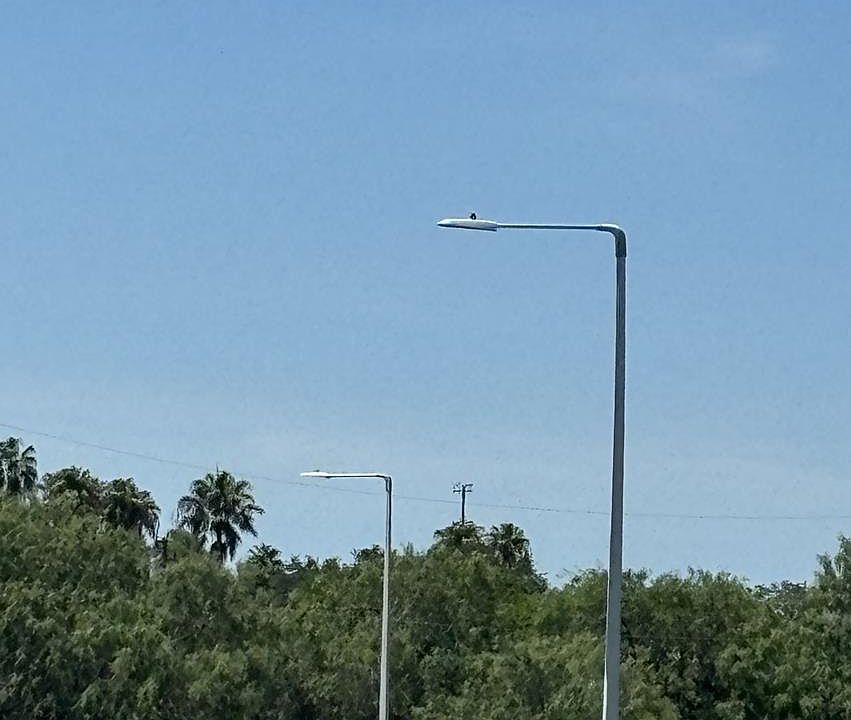 1st image of 1109 Julio Ln