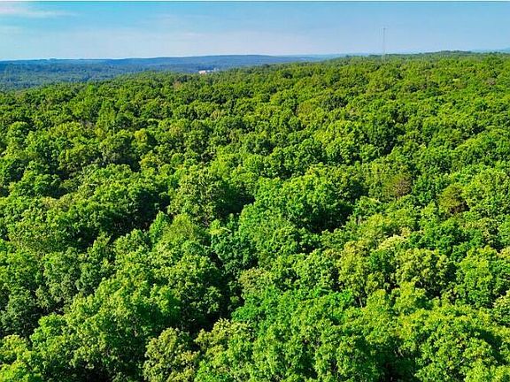 4th image of Lantana Rd