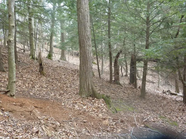 0 Old State Rd, Frankfort, MI 49635