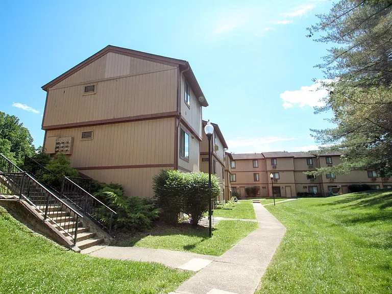Forrest Bluff — Photo 14