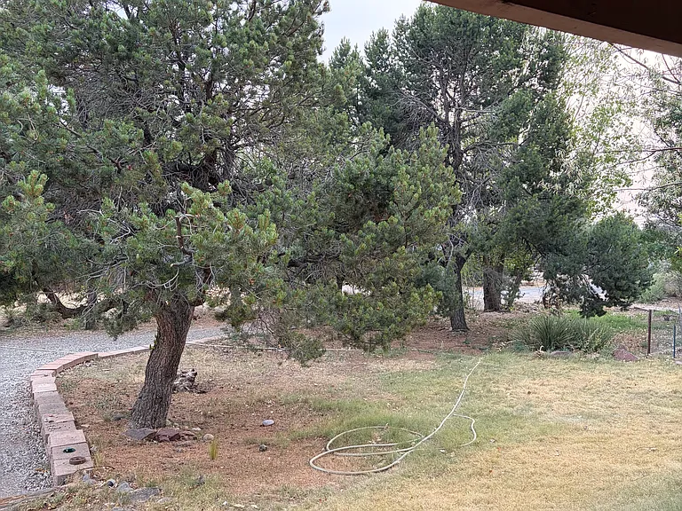 38C Los Tapias Ln — Photo 22