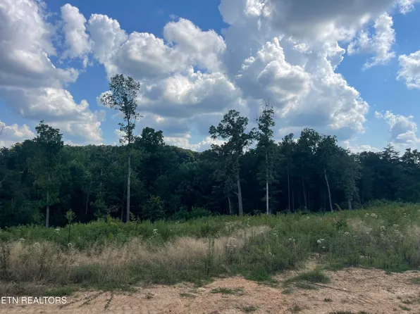 LOT 19 Laura Boling Loop Rd, Strawberry Plains, TN 37871