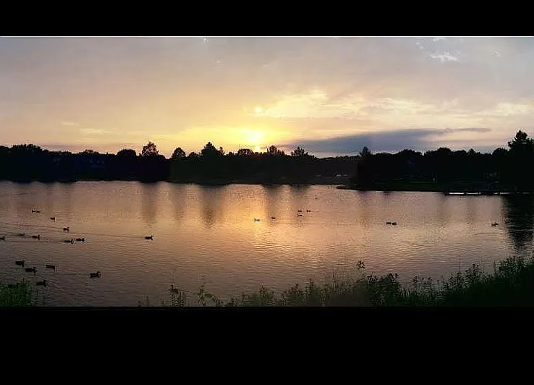 Neighborhood lake