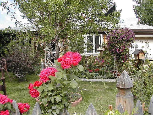 STREET FRONT OF HOUSE
