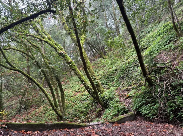 11285 Dell Avenue, Forestville, CA 95436