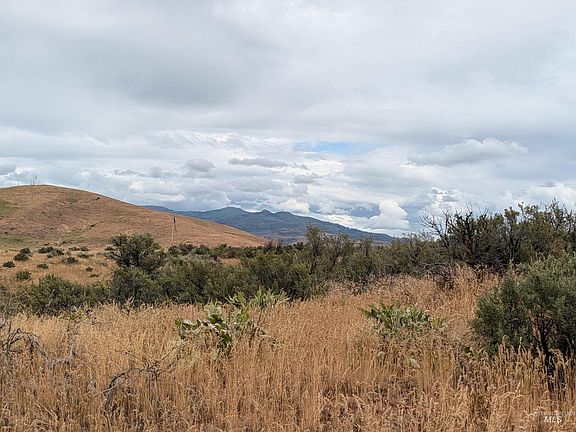 5th image of Shaw Ln