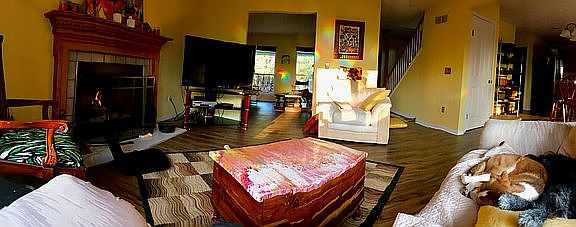 View from family room