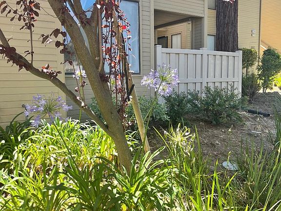 2nd image of 2743 Cort Ave