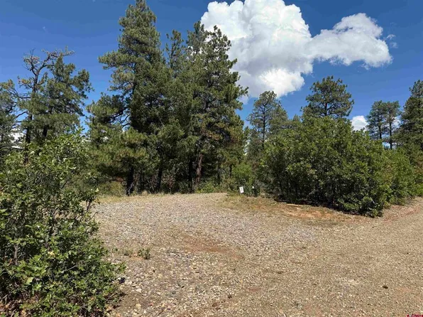 93 & 127 Careys Court, Pagosa Springs, CO 81147