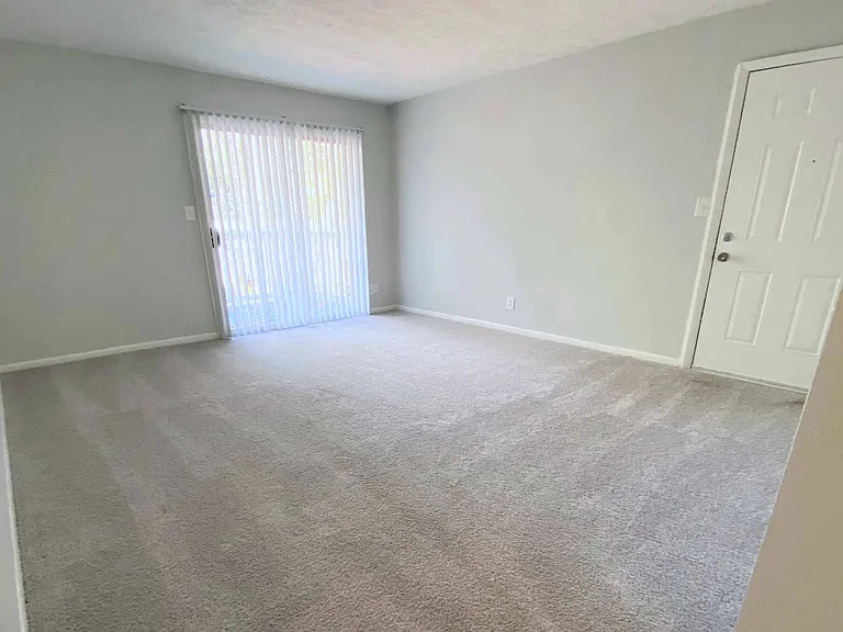 Embrace comfort in our spacious living rooms adorned with plush carpeting and sun-drenched large windows and patio doors with privacy blinds.