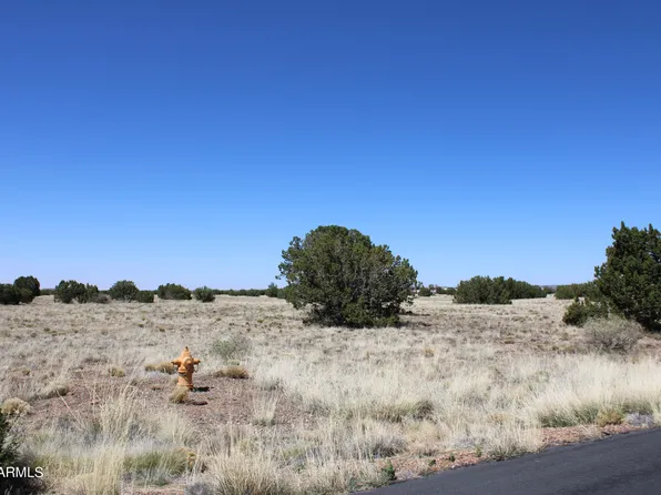 7700 Del Rio Drive #47, Show Low, AZ 85901