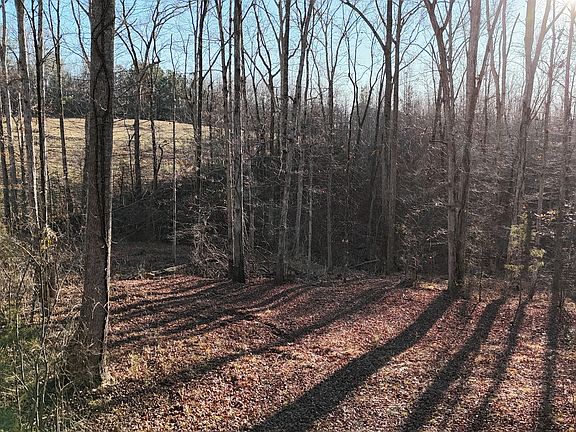 3rd image of 151 Sandy Springs Dr