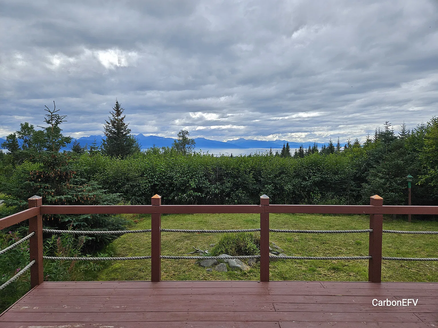1 bed, 800 sqft, $1,650 — Photo 1