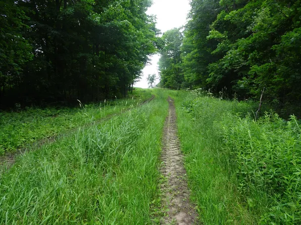 260th Ave, Luck, WI 54853