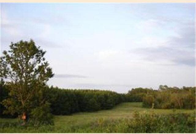 2nd image of Amor Township Drive