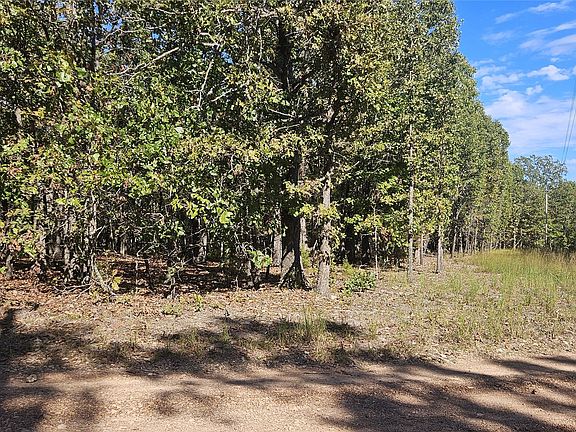 5th image of Nakedhead Ridge Rd
