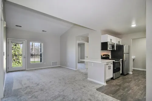 4060 Springer Way Photo 1