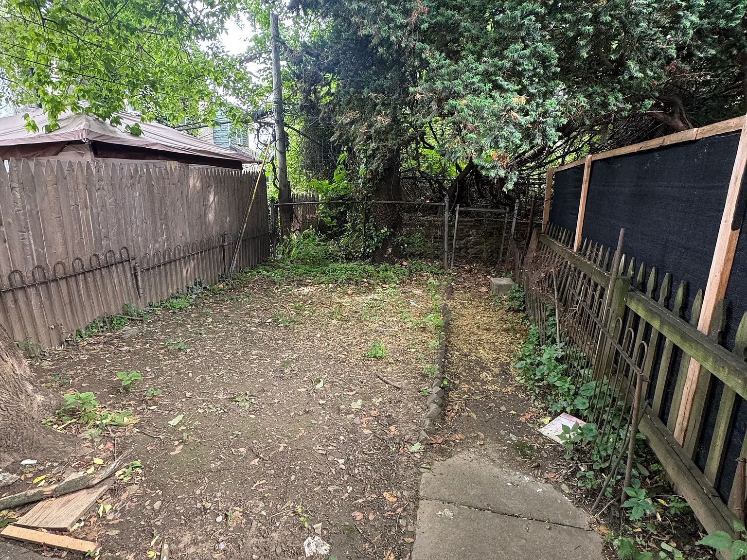 3 bed, $1,900 — Photo 2