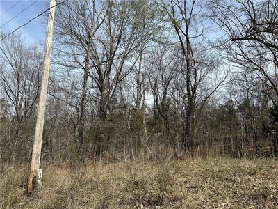 Trammell Dr Lot 7, Lowell, AR, 72745