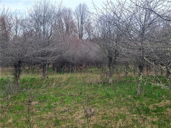 22 Airpark Indian, Central City, PA 15926