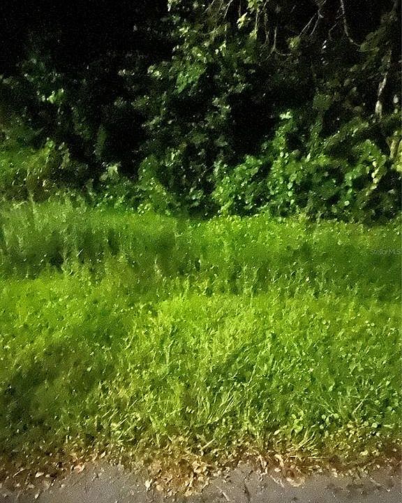 2nd image of 814 Massy Ct #8