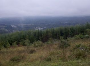 910 Lookout Rd, Castle Rock, WA 98611