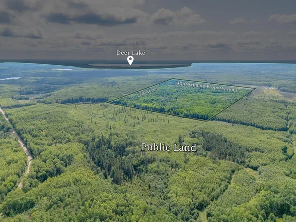 County Road 523, Effie, MN 56639