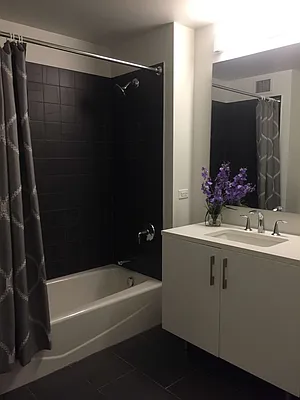 Rented by CMSJ Development LLC | media 21