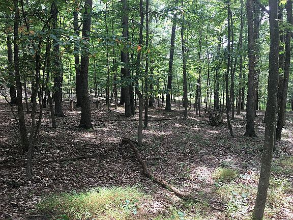 4th image of 0 White Oak Dr Lot 16
