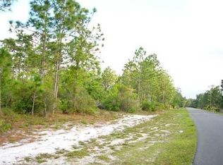 13701 Lacebark Pine Rd, Orlando, FL 32832