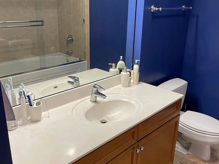 1400 S Michigan Ave #711 — Photo 9